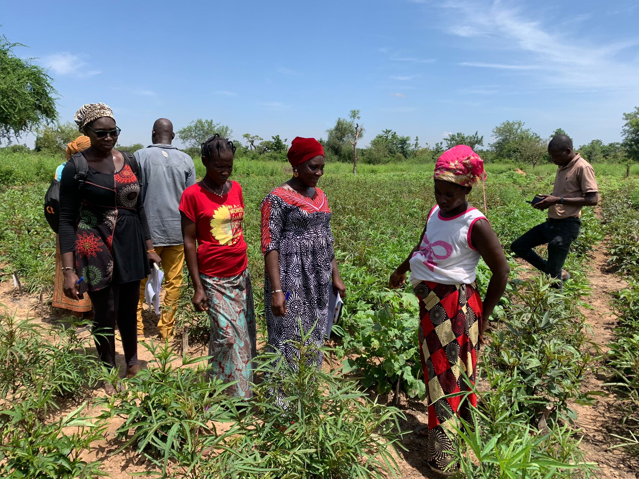 Aics Ouagadougou sostiene l’emancipazione delle donne attraverso la valorizzazione dell’agricoltura tradizionale